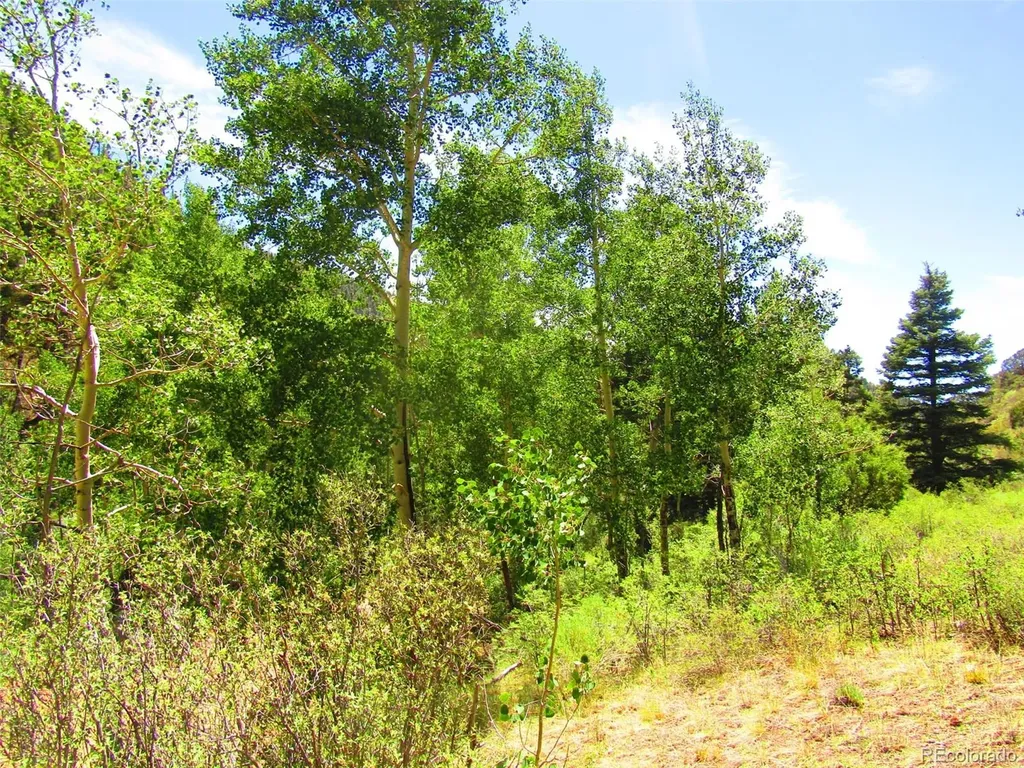 Lot 5526 Joy Road Fort Garland CO 81133