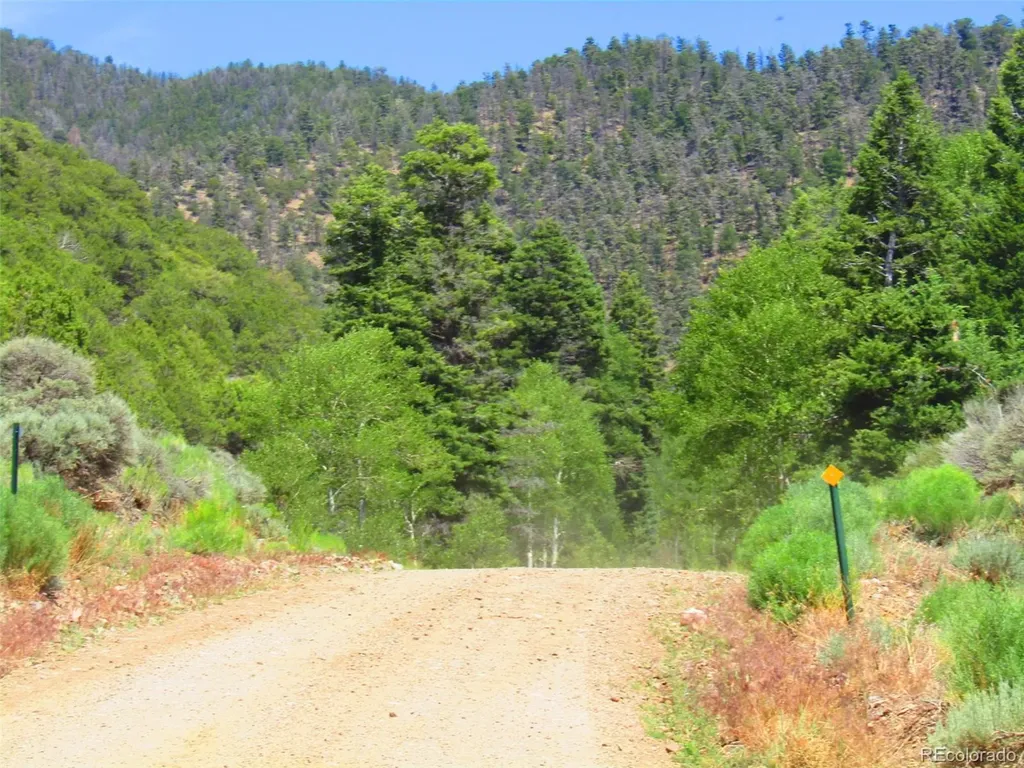 Lot 5526 Joy Road Fort Garland CO 81133