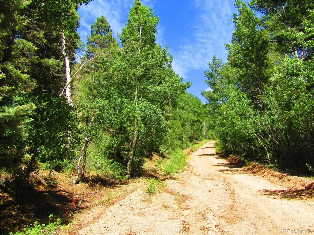 Lot 5526 Joy Road Fort Garland CO 81133
