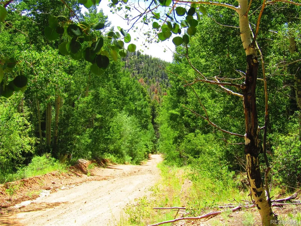 Lot 5526 Joy Road Fort Garland CO 81133