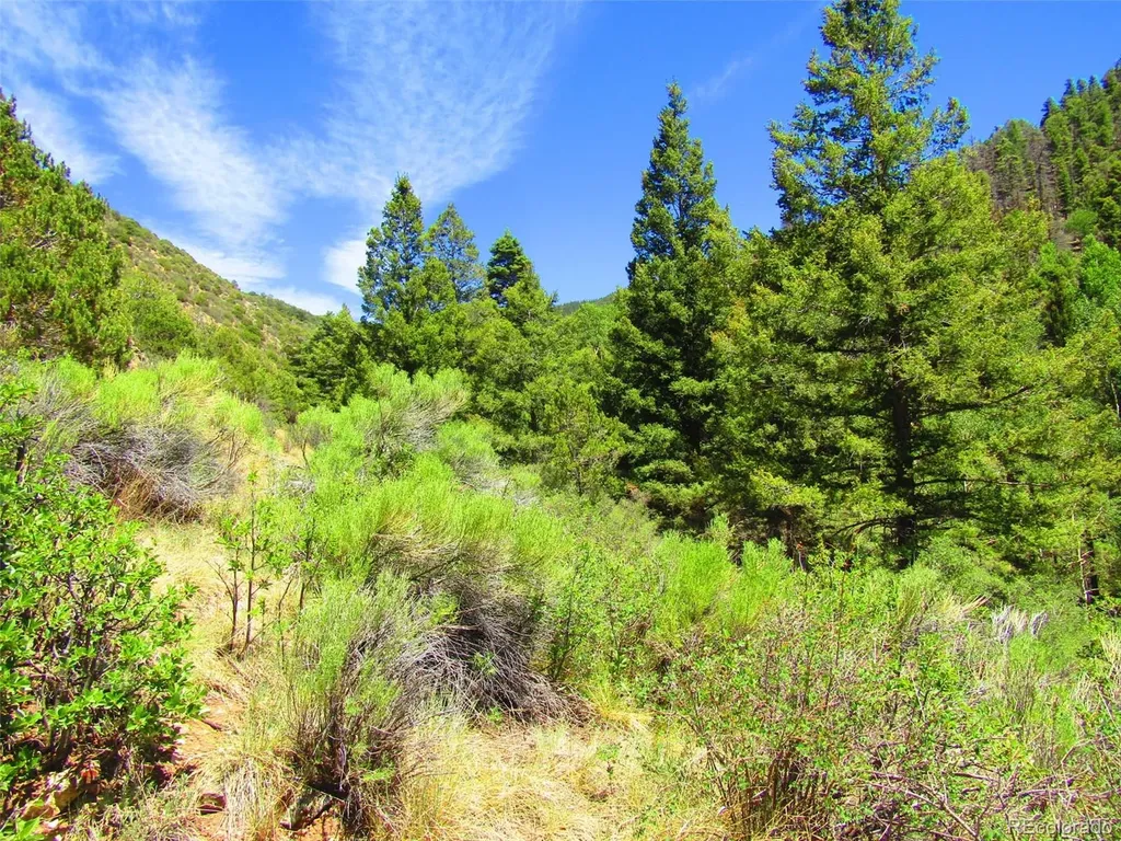 Lot 5526 Joy Road Fort Garland CO 81133