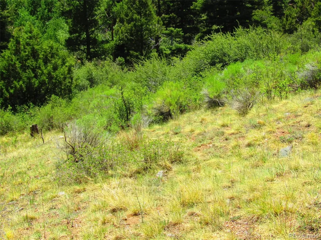 Lot 5526 Joy Road Fort Garland CO 81133
