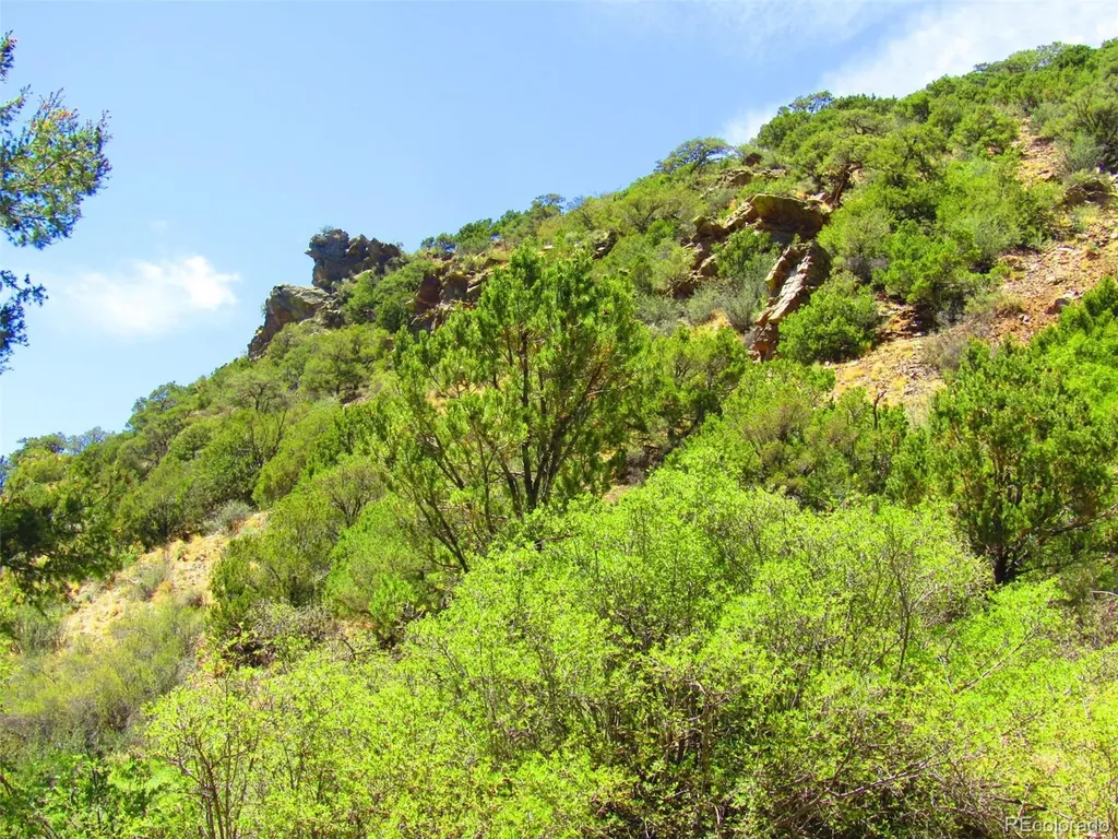 Lot 5526 Joy Road Fort Garland CO 81133