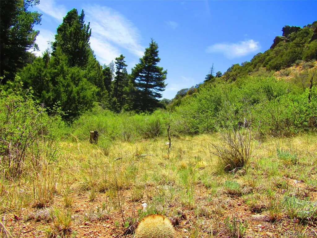Lot 5526 Joy Road Fort Garland CO 81133