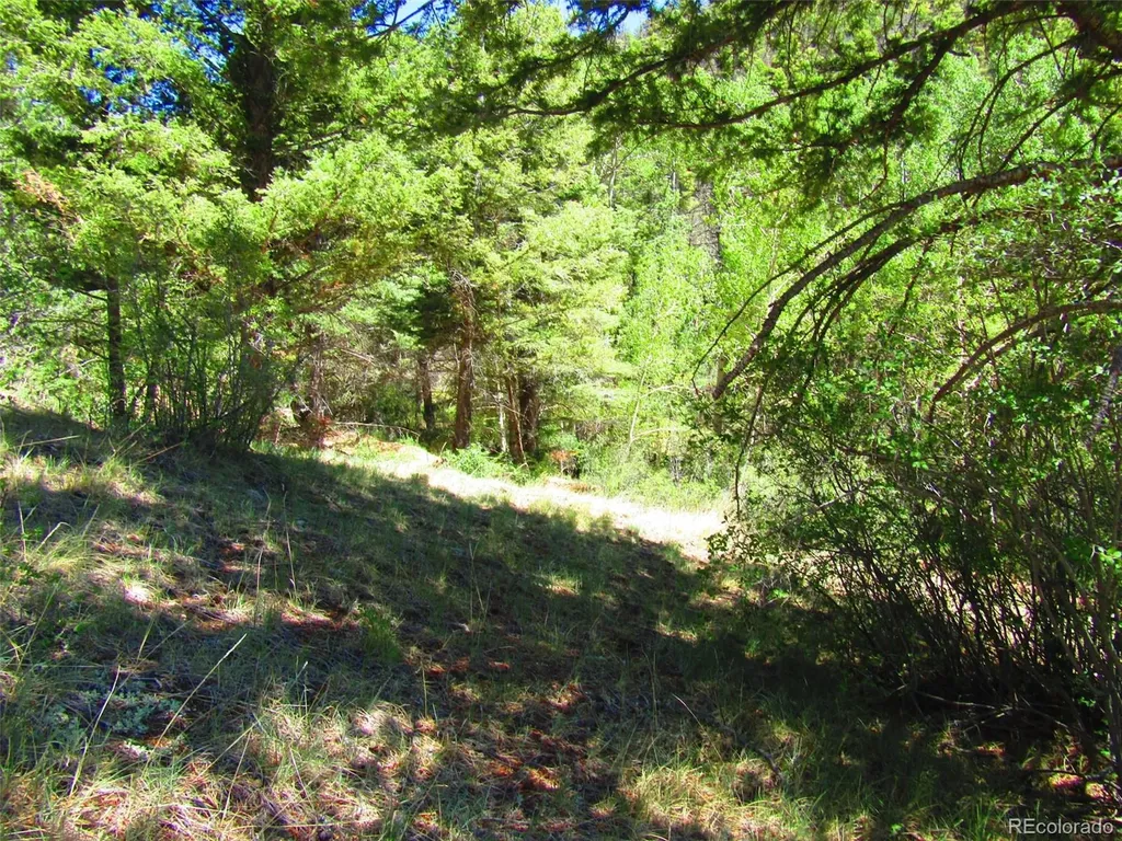 Lot 5526 Joy Road Fort Garland CO 81133