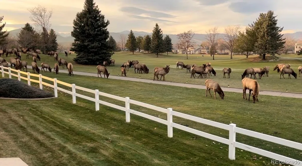 451 Clubhouse Court Loveland CO 80537