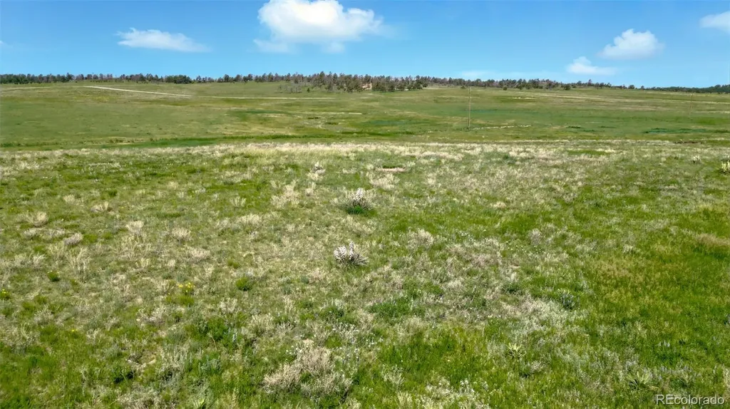3 County Road 91 Ramah CO 80832