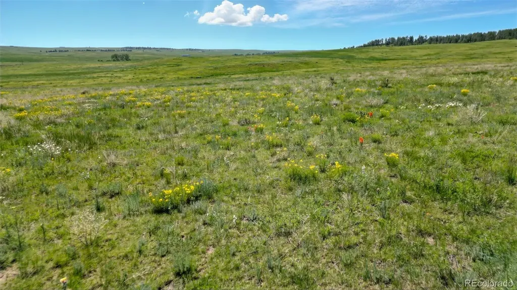 3 County Road 91 Ramah CO 80832