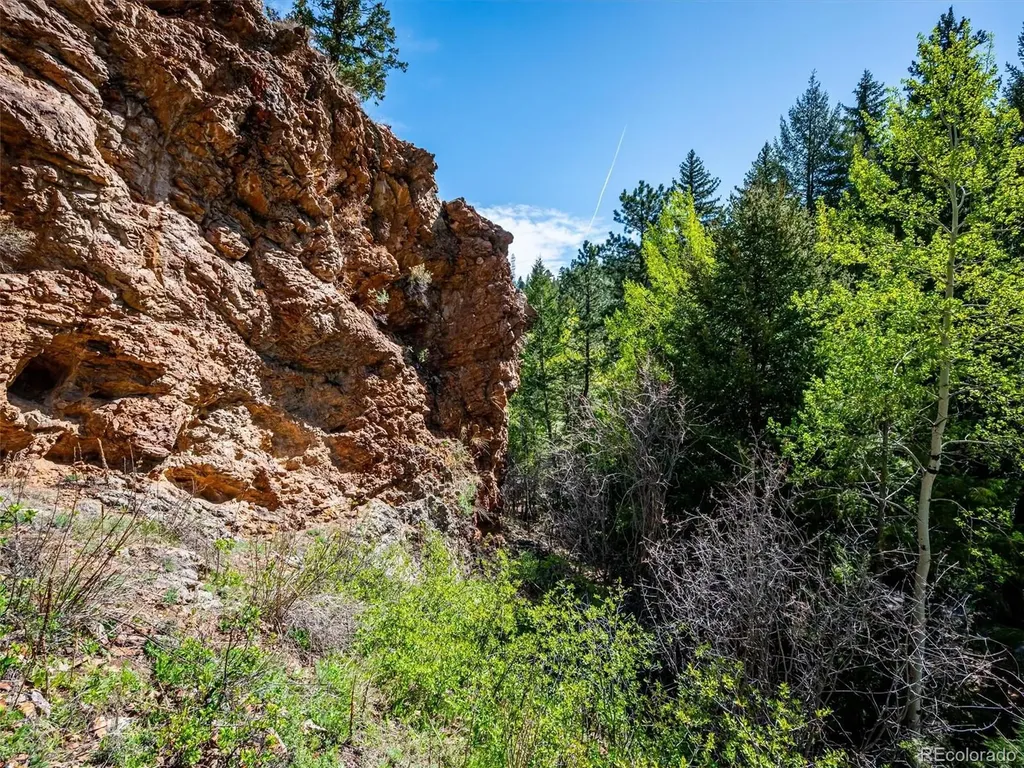 164 Fawn Creek Lane Evergreen CO 80439