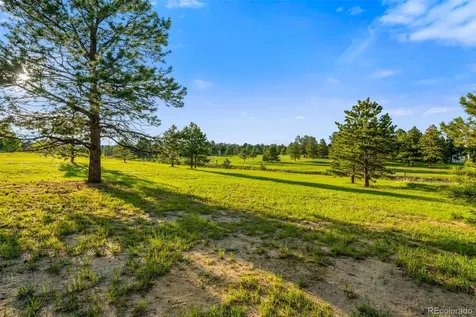 19035 Purser Court Monument CO 80132