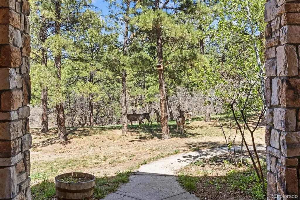 9676 S Perry Park Road Larkspur CO 80118