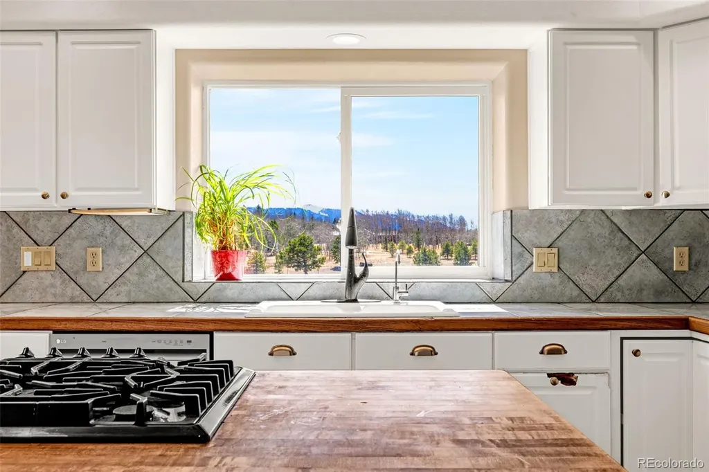 78 Moss Rock Drive Divide CO 80814