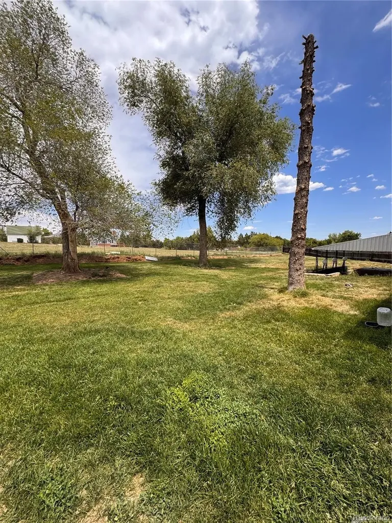 7037 S Platte Canyon Road Littleton CO 80128