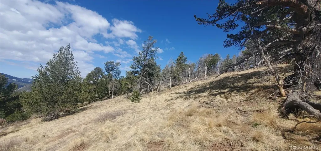Lot 2740 Newman Place Fort Garland CO 81133