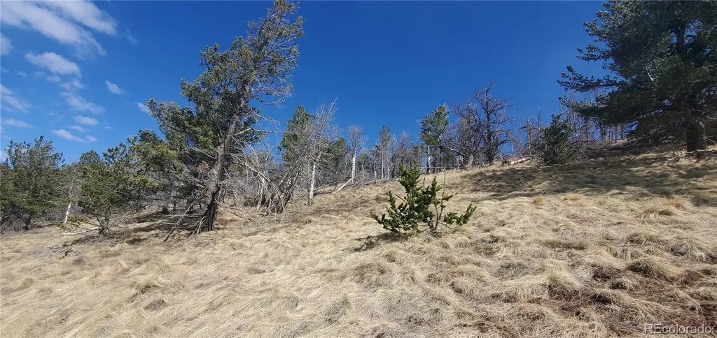 Lot 2740 Newman Place Fort Garland CO 81133