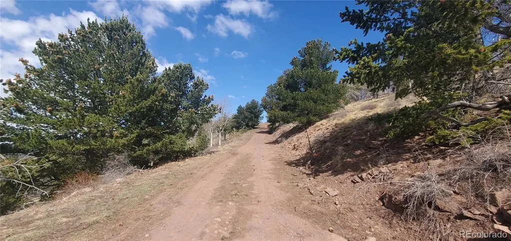 Lot 2740 Newman Place Fort Garland CO 81133