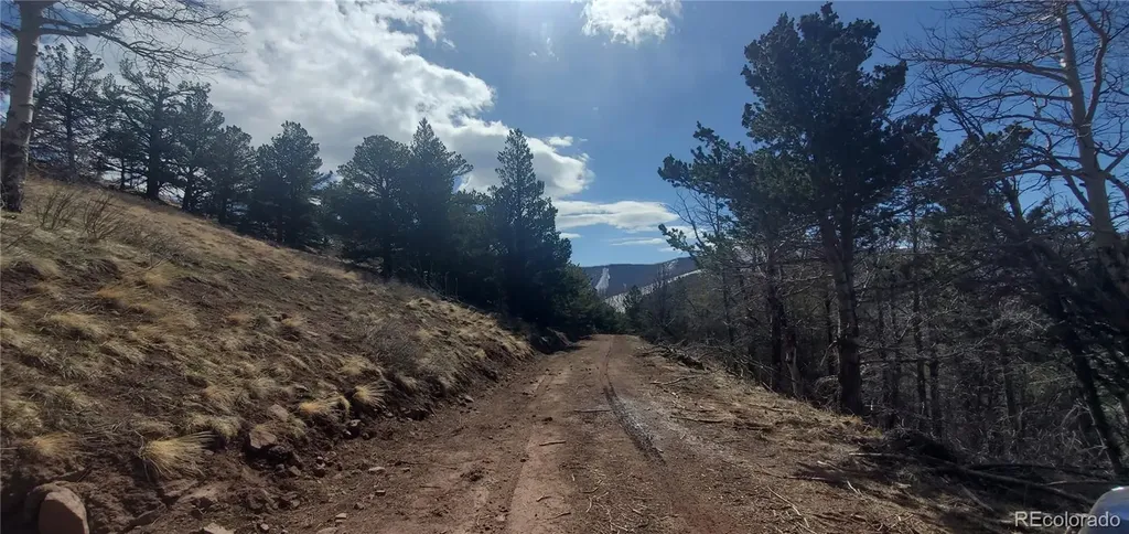Lot 2740 Newman Place Fort Garland CO 81133