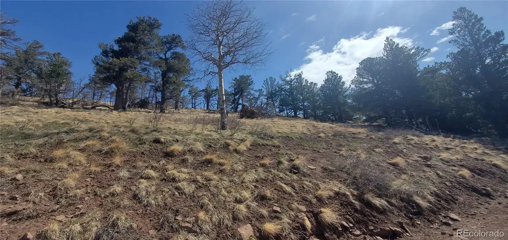Lot 2740 Newman Place Fort Garland CO 81133