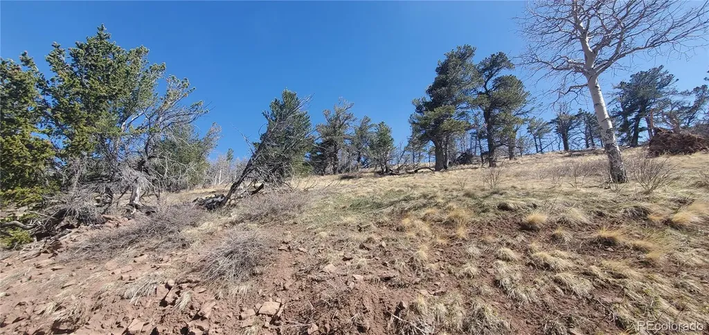 Lot 2740 Newman Place Fort Garland CO 81133