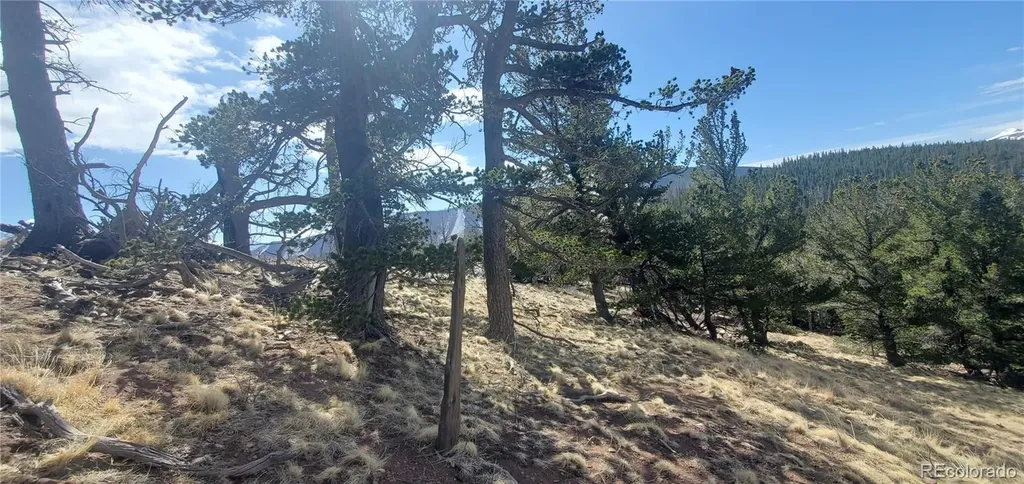 Lot 2740 Newman Place Fort Garland CO 81133