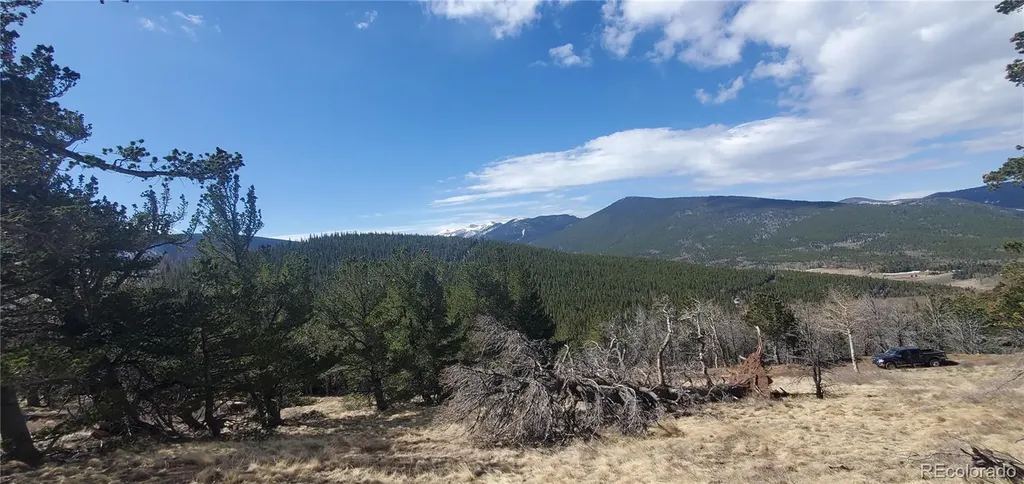 Lot 2740 Newman Place Fort Garland CO 81133