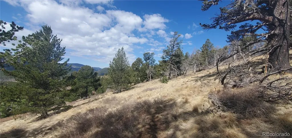 Lot 2740 Newman Place Fort Garland CO 81133