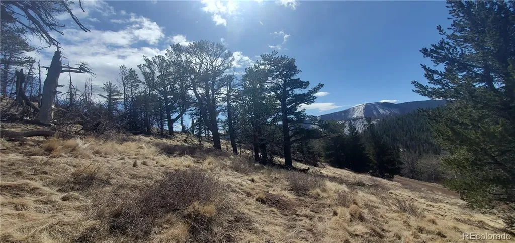 Lot 2740 Newman Place Fort Garland CO 81133