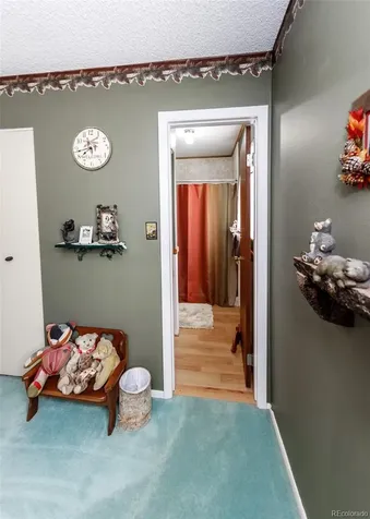 2527 E Caramillo Street Colorado Springs CO 80909