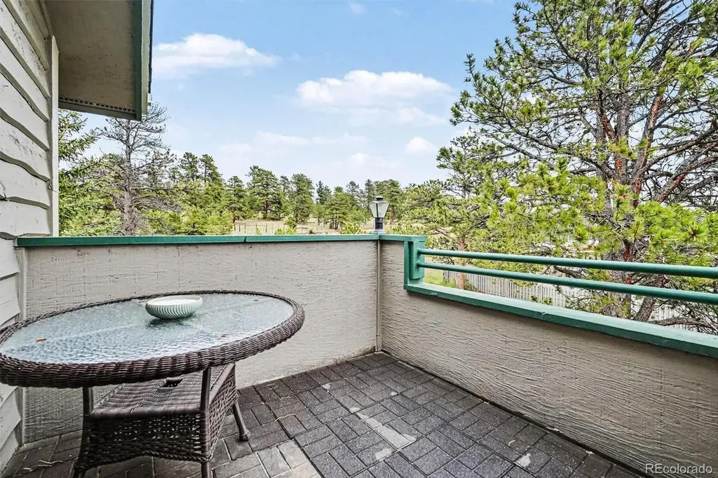 31719 Rocky Village Drive Evergreen CO 80439