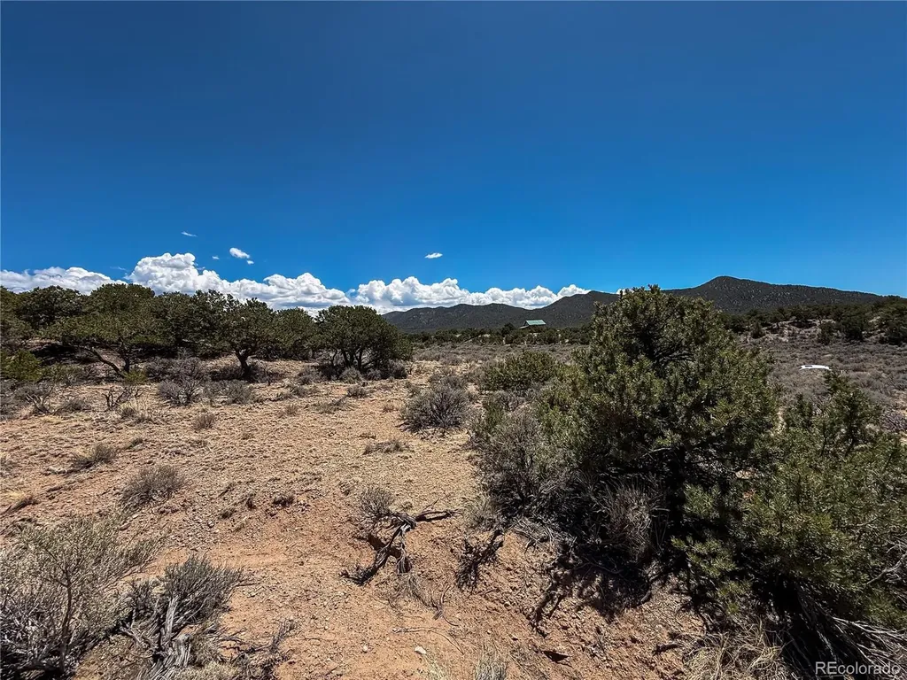 Lot 1058 Hotchkiss Road Fort Garland CO 81133