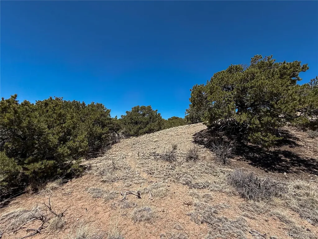 Lot 1058 Hotchkiss Road Fort Garland CO 81133