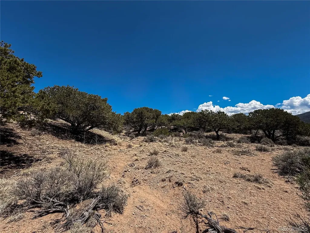 Lot 1058 Hotchkiss Road Fort Garland CO 81133
