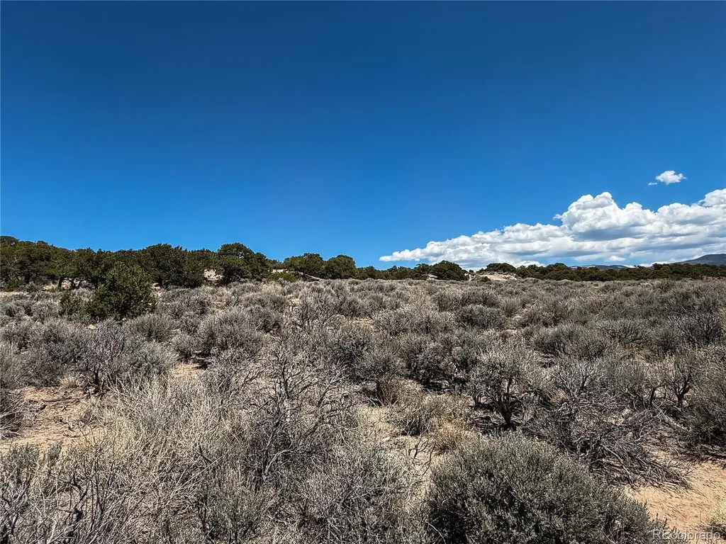 Lot 1058 Hotchkiss Road Fort Garland CO 81133