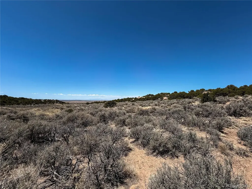 Lot 1058 Hotchkiss Road Fort Garland CO 81133