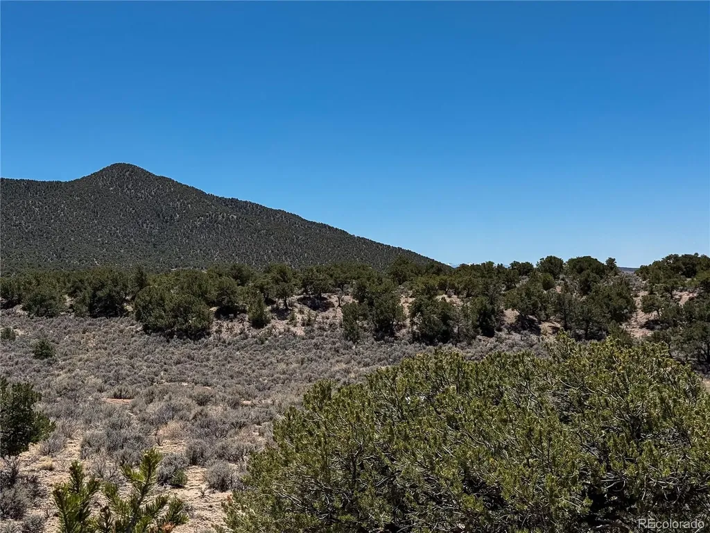 Lot 1058 Hotchkiss Road Fort Garland CO 81133