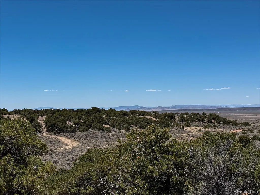 Lot 1058 Hotchkiss Road Fort Garland CO 81133