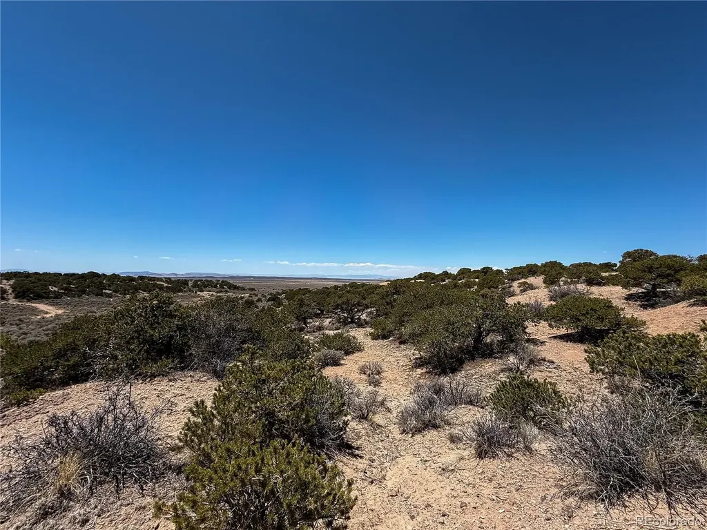 Lot 1058 Hotchkiss Road Fort Garland CO 81133