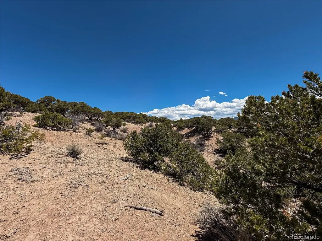 Lot 1058 Hotchkiss Road Fort Garland CO 81133