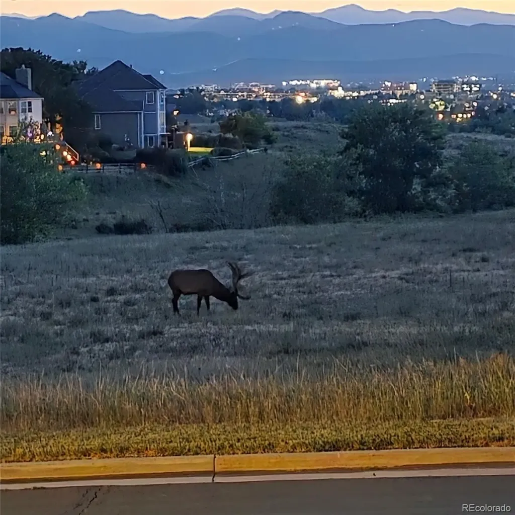 1700 Thistle Ridge Road Highlands Ranch CO 80126