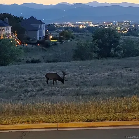 1700 Thistle Ridge Road Highlands Ranch CO 80126