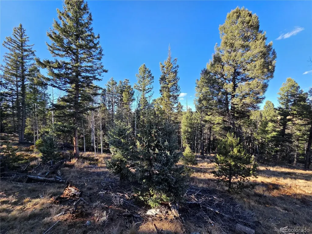 1434 Blue Mesa Drive Divide CO 80814