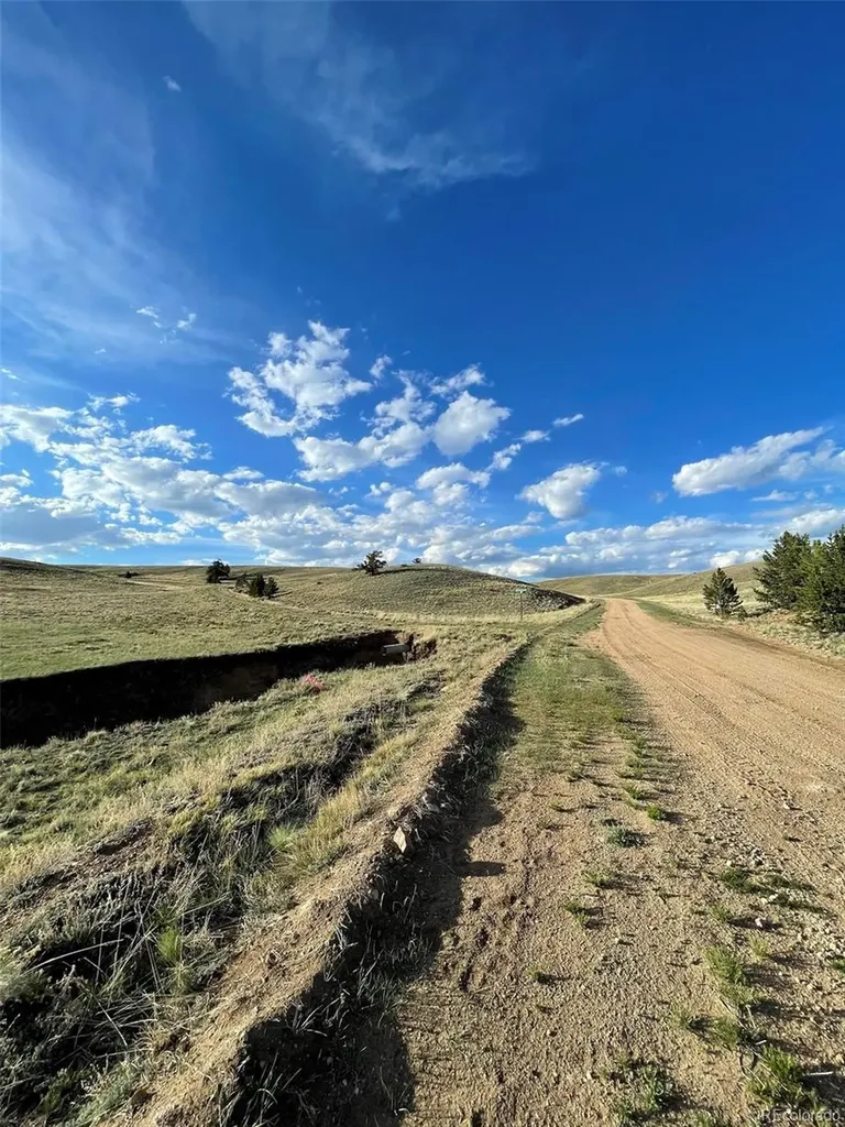 691 Cathy Drive Hartsel CO 80449