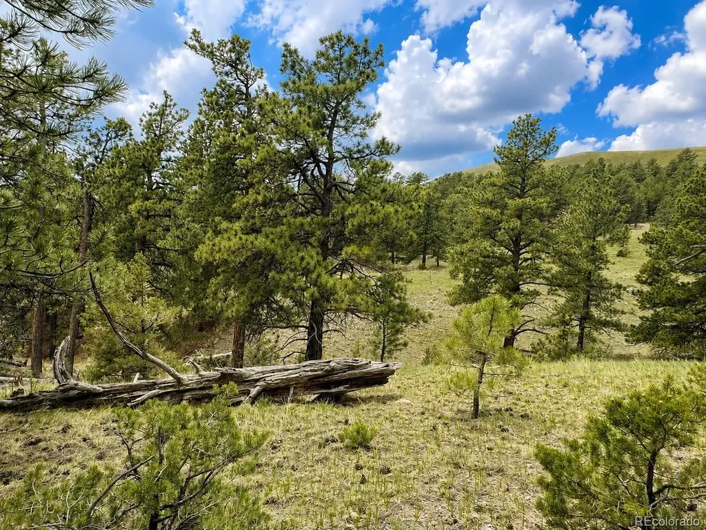 Tbd Lot 402 Brittany Lane Gardner CO 81040