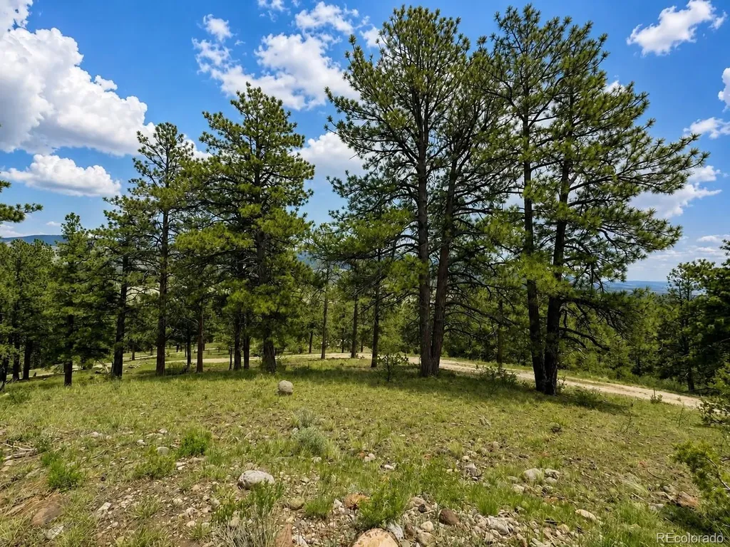 Tbd Lot 402 Brittany Lane Gardner CO 81040