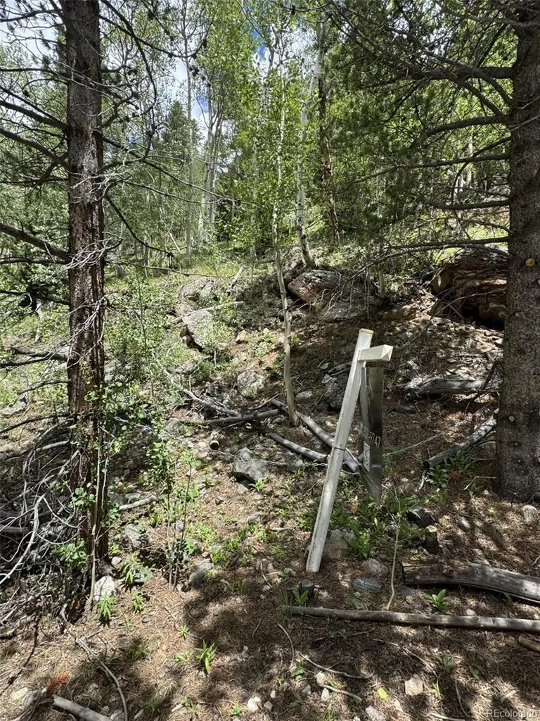 0 Loch Lomond Road Idaho Springs CO 80452