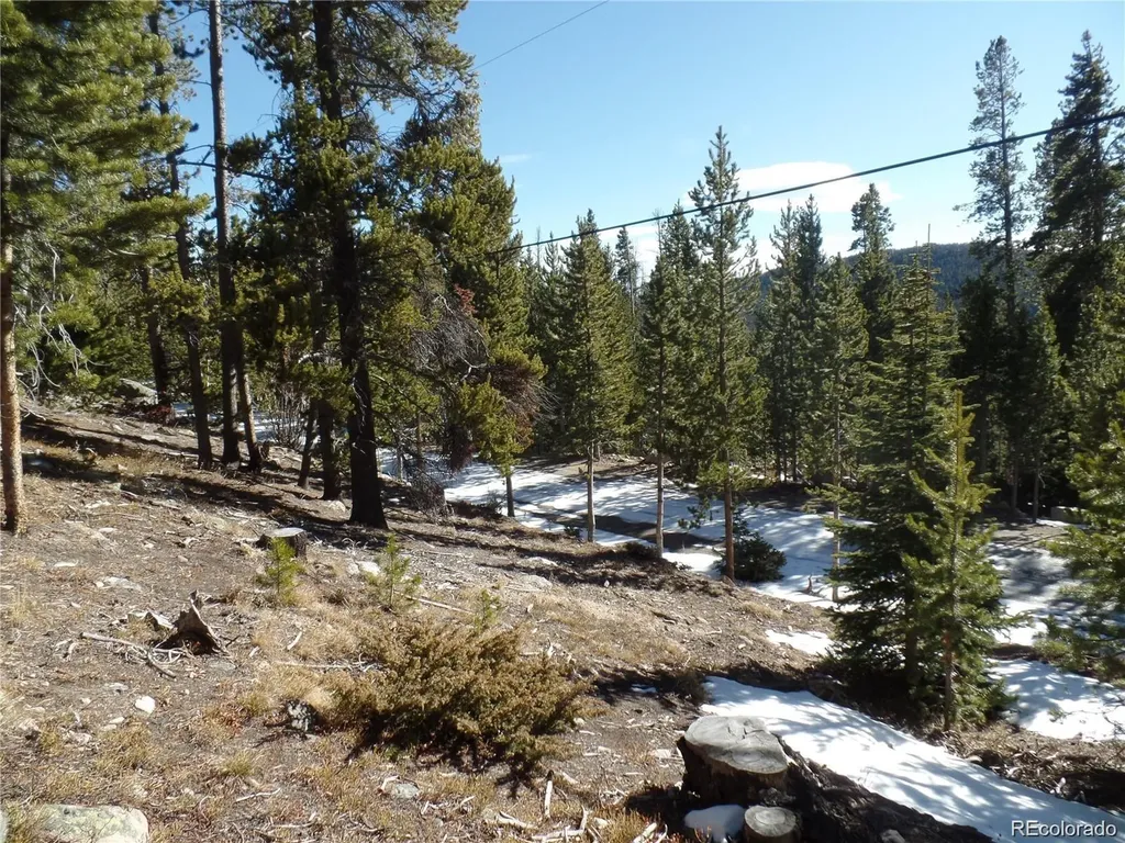 0 Loch Lomond Road Idaho Springs CO 80452