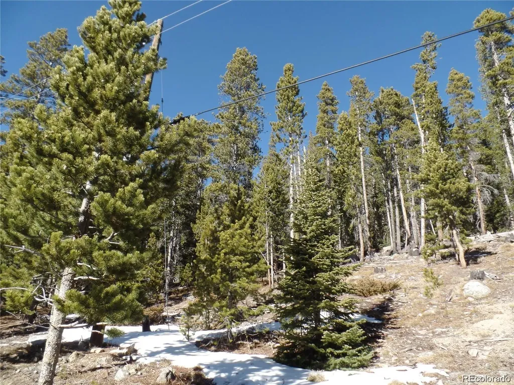 0 Loch Lomond Road Idaho Springs CO 80452