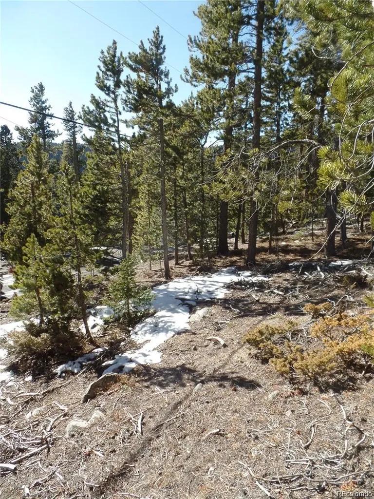 0 Loch Lomond Road Idaho Springs CO 80452