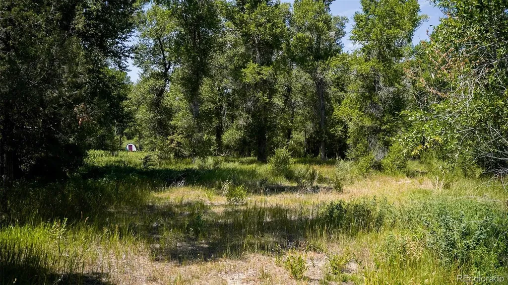 8116 Fawn Run Salida CO 81201