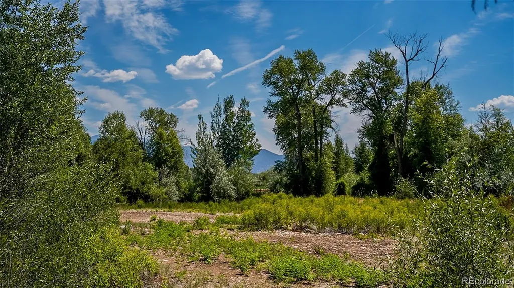 8116 Fawn Run Salida CO 81201